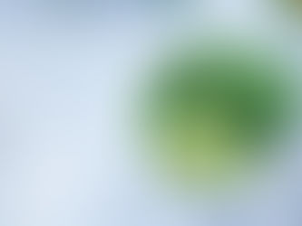 BECKY'S HONEY & LIME ENCHALIDAS