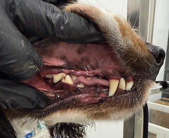 PHOTO-2025-04-02-06-48-11 (1)_edited.jpg