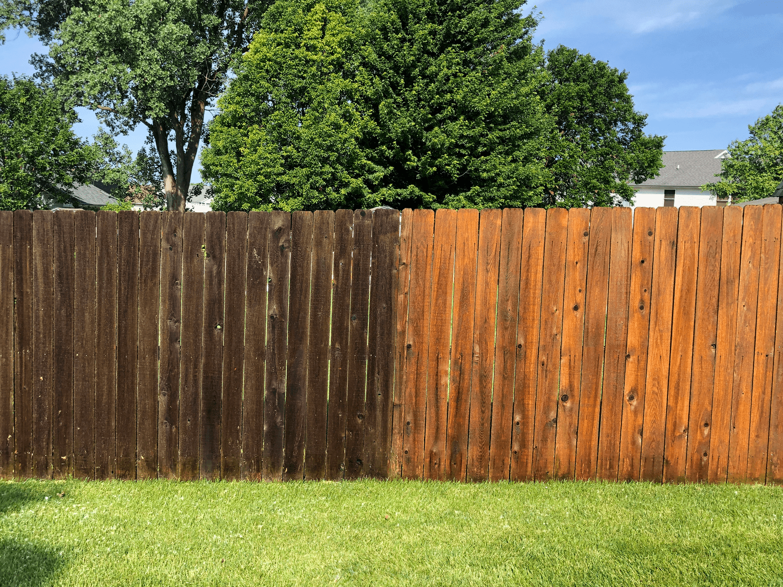 Fence cleaning Gold Coast – mould and dirt removal from outdoor fencing