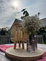 IMG-0896.jpg