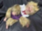 Miniaturbild: In Stock " Brown Victor" Cuddle Body Silicone Werewolf - Preemie