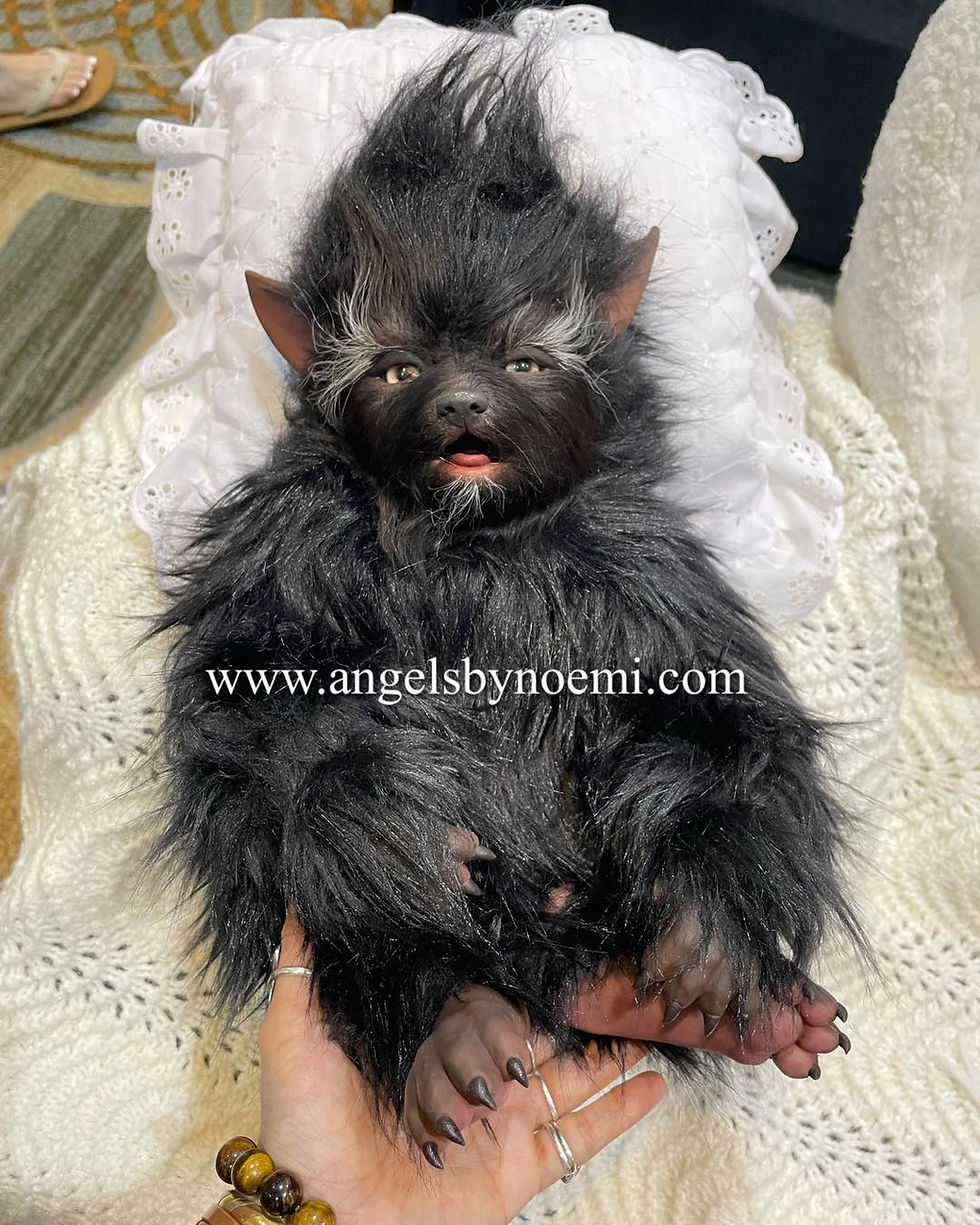 Thumbnail: NEW "Black Fabio" Cuddle Body Silicone Werewolf baby - Preemie
