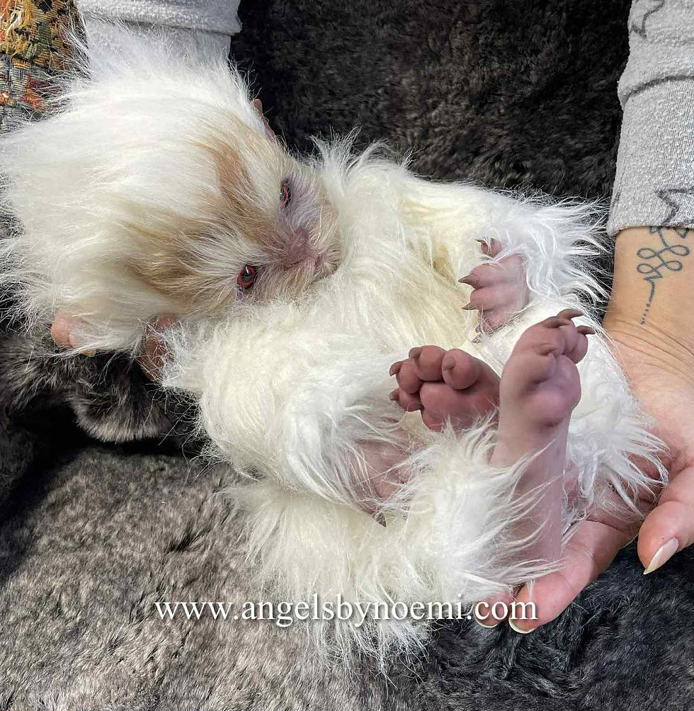 サムネイル： "Victor" Cuddle Body Silicone Werewolf - Preemie