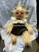 Copy of 6dbb042e-87e9-4d85-8387-6cf76baeef3f.jpg