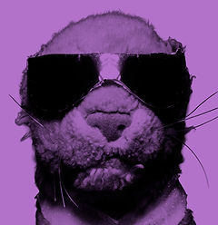 Eras icon Ultra2.jpg