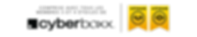 Cyberboxx Services Package 3-4 FRE.png