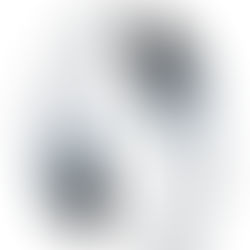 Getting Real; getting off the Neo-Wagon and Become Authentic