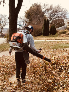 Leaf Clean Up