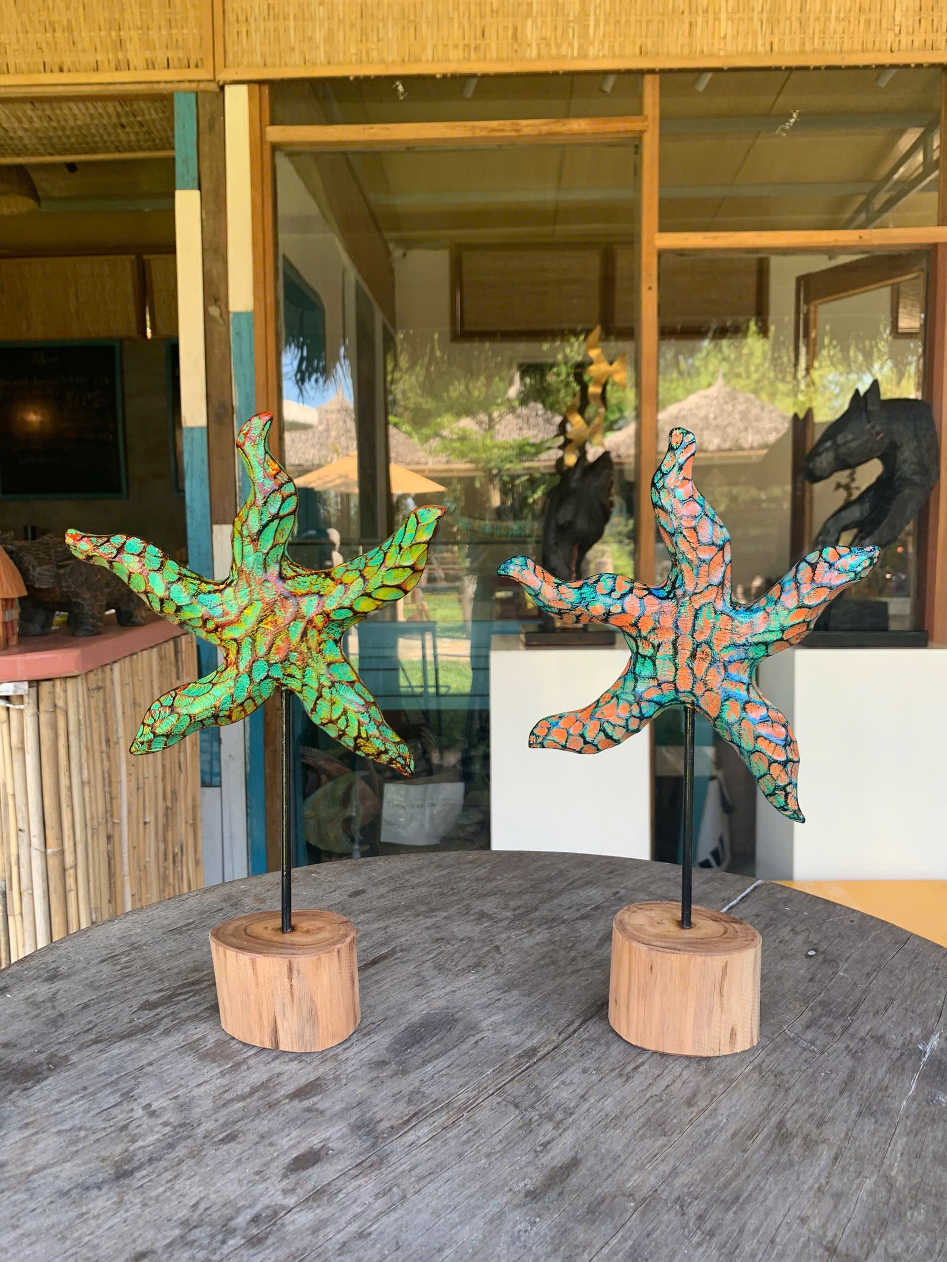 Rainbow 🌈 starfish ⭐️ 🐟 1166