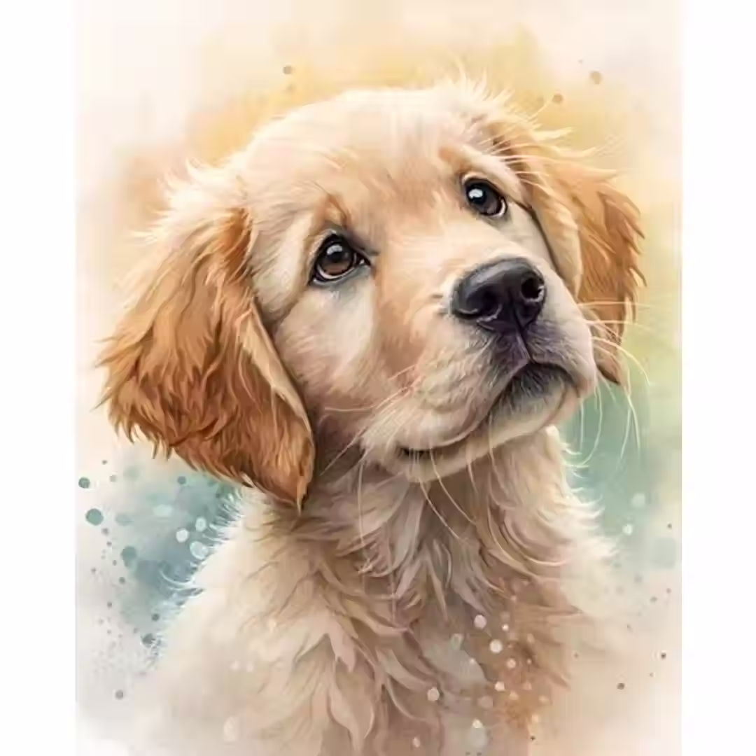 Kleurrijke hond