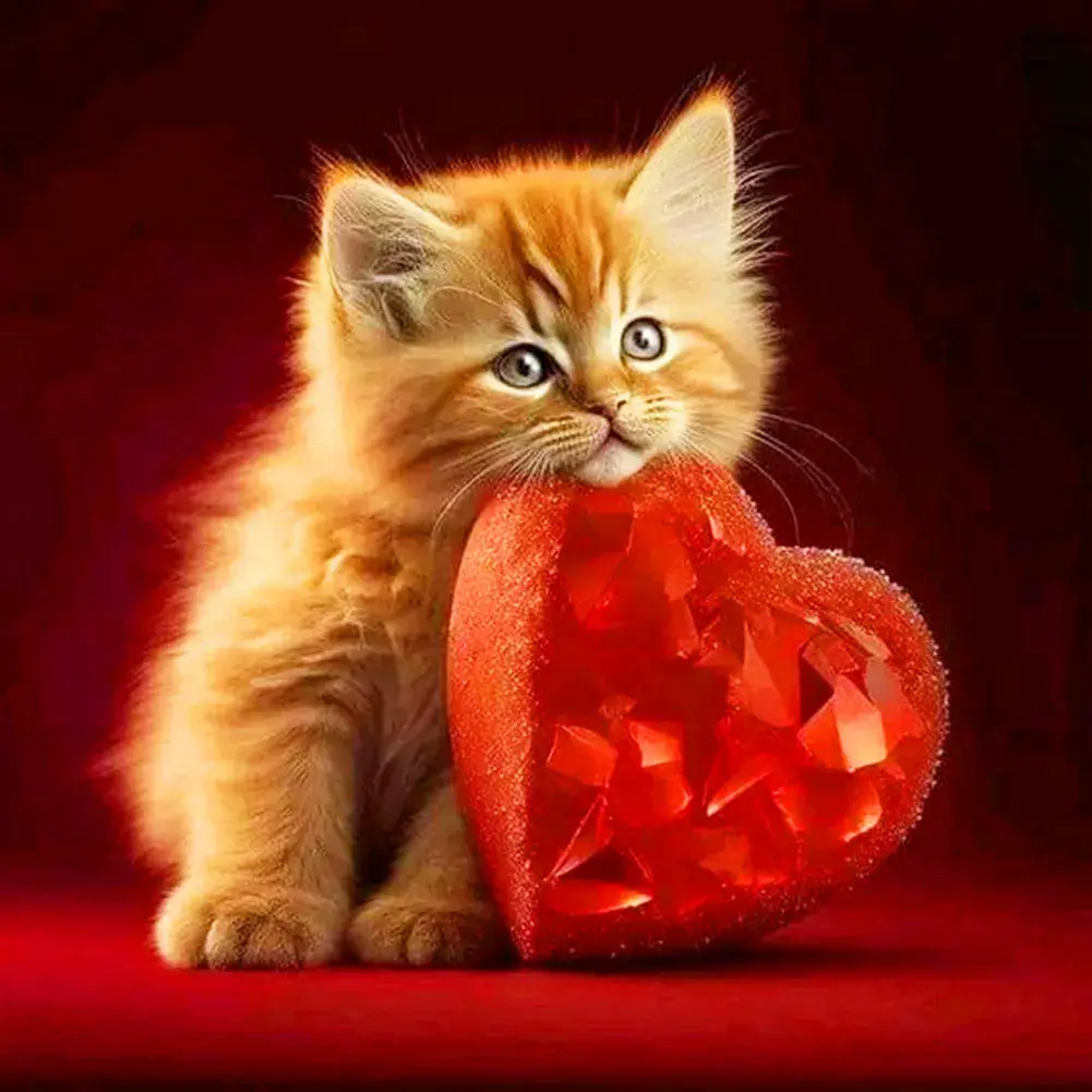 Liefdes kitten
