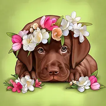 Puppy
