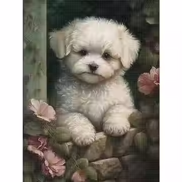 Hondje