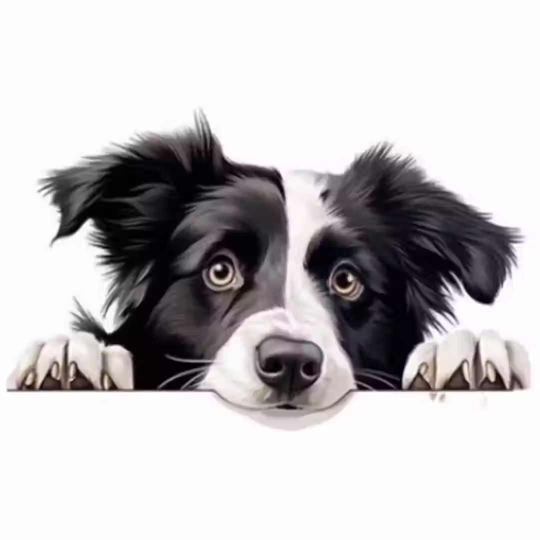 Hondje