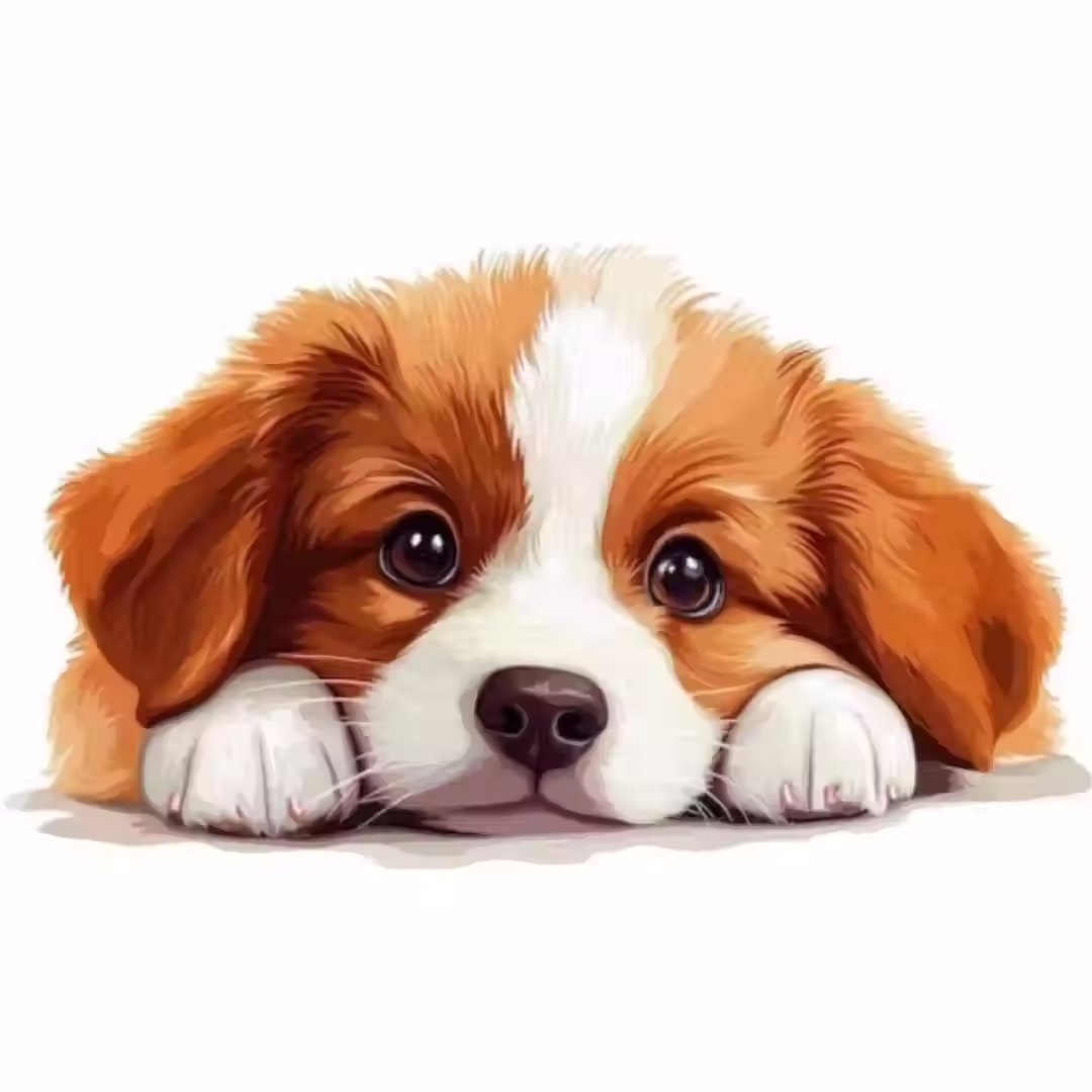 Puppy