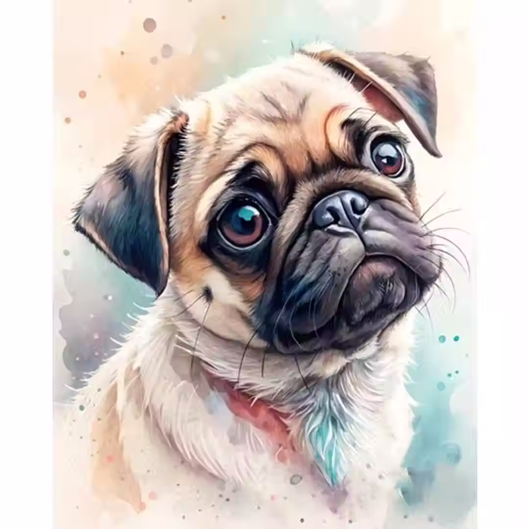 Kleurrijke hond