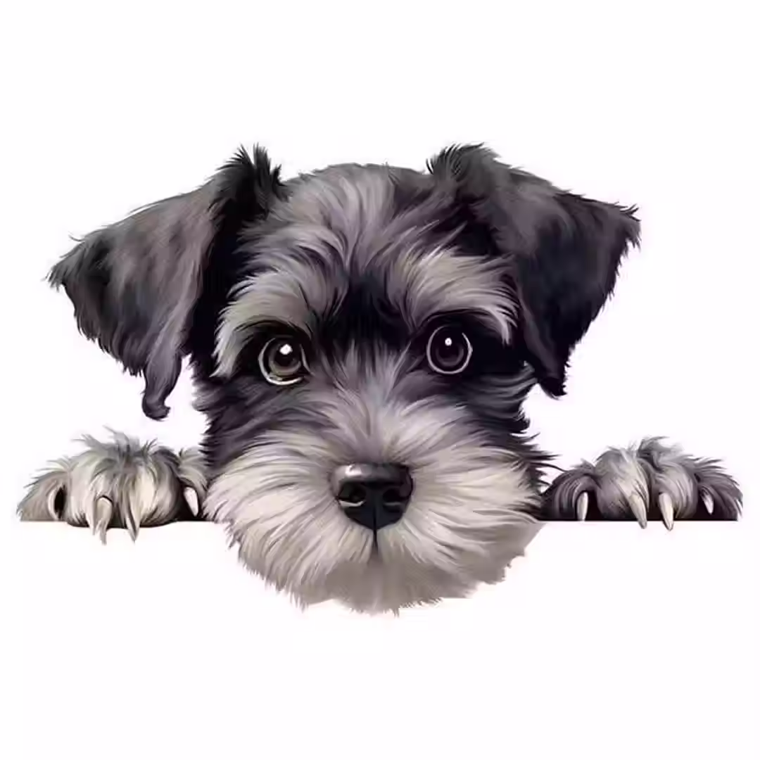 Hondje