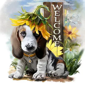 Basset Hound