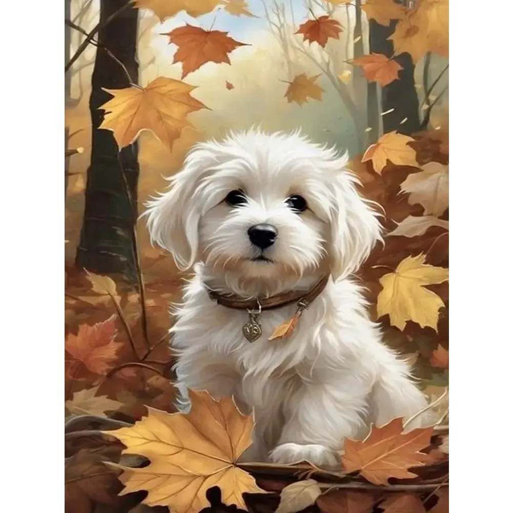 Hondje