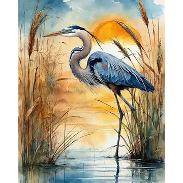Kraanvogel