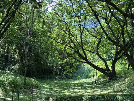 チェックインについて🤓