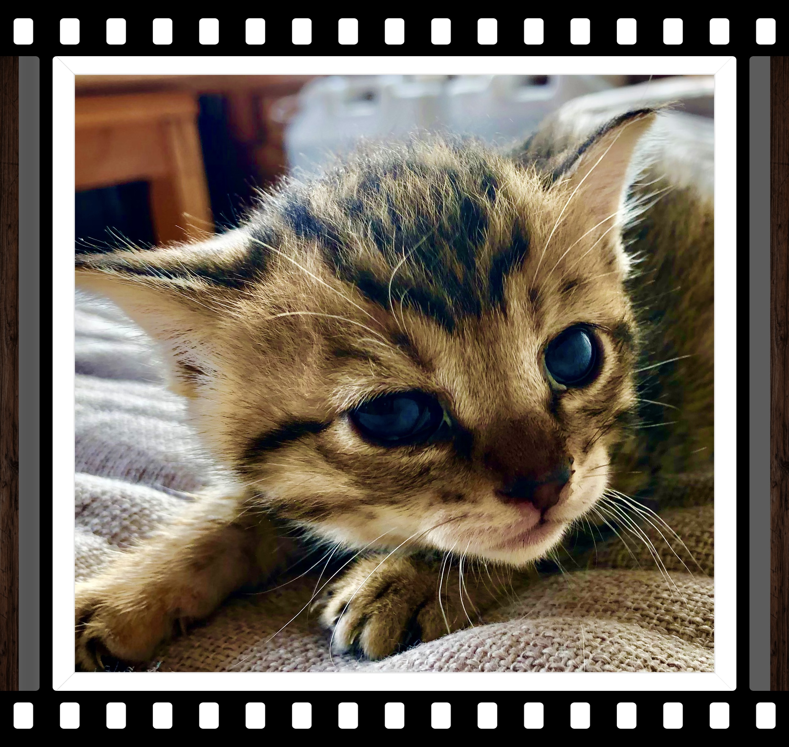 執筆者の写真: Taityo3