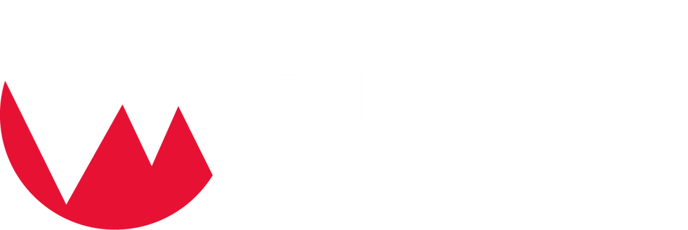 Logo VM Expertise Formation - Pour Fonds Sombre - PNG - 150dpi - Usage Divers.png