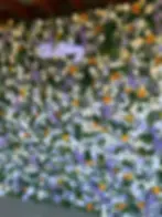 5D white, cream, gray, and yellow roses, with lavender and greenery throughout