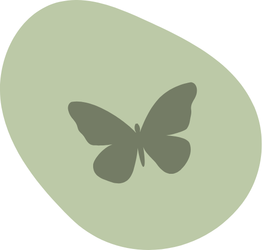 Category Icon - Backdrops