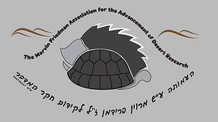 Friedman-Logo-V4 (1).png