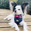Thumbnail: "Forever in Blue Jeans" Adjustable Harness