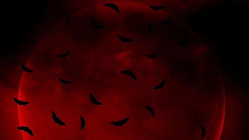 large-moon-with-bats-flying-through-clouds_edited.jpg