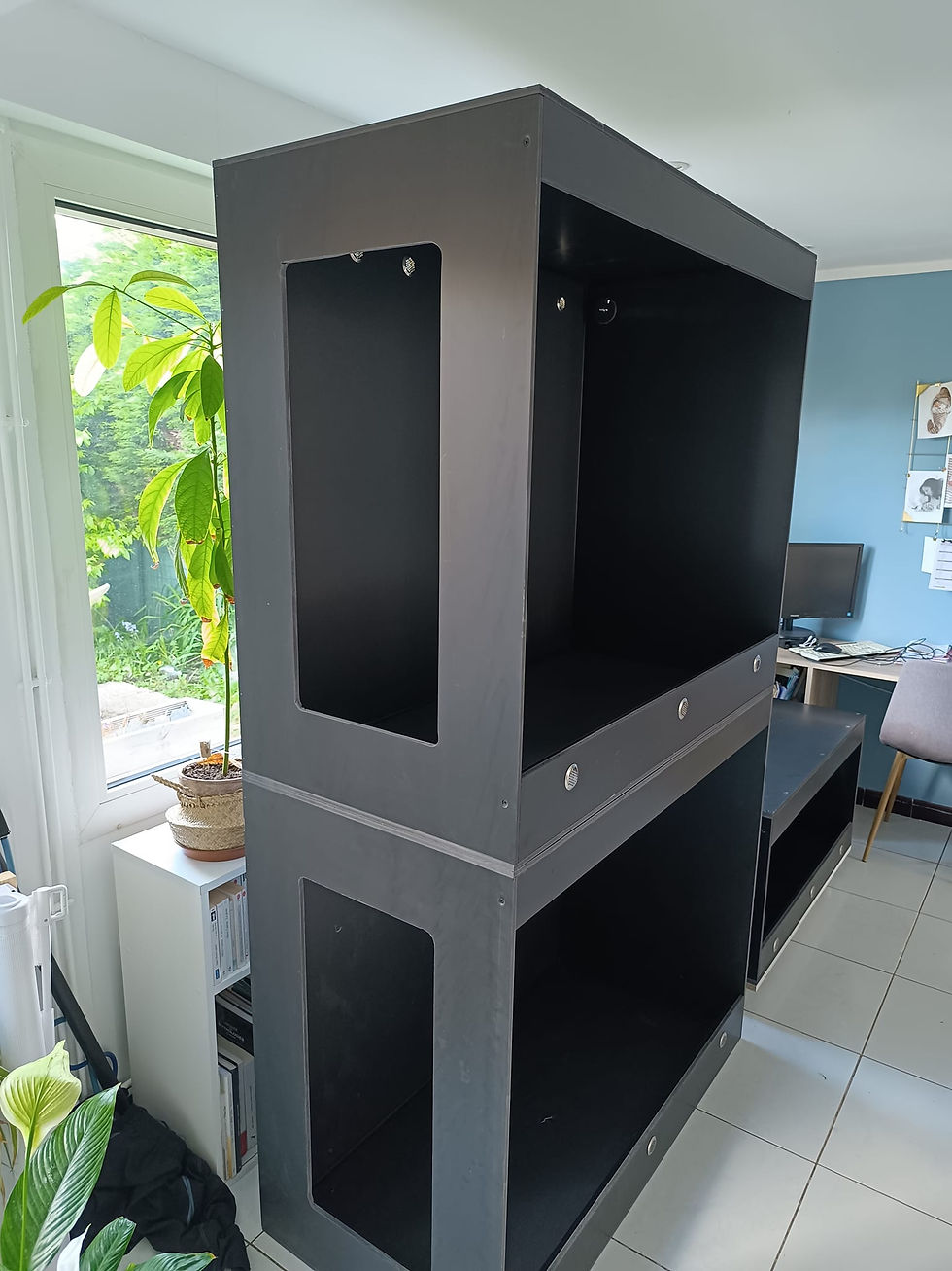 437951162_448837557665533_7094606773473260501_n