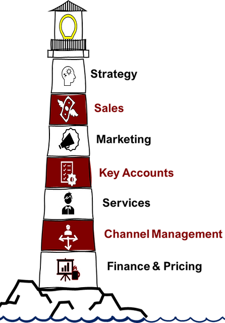 Commercial Excellence Lighthouse Graphic