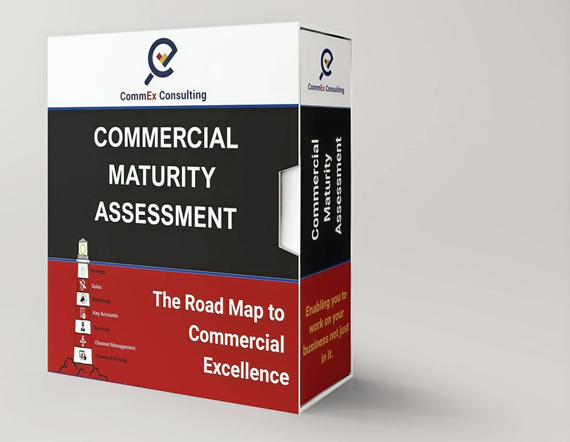 Commercial Maturity Assessment Box
