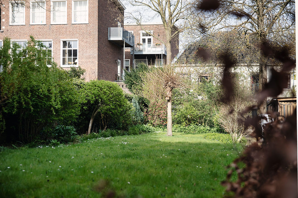 Zonnige achtertuin met groen gazon en bakstenen gebouwen.