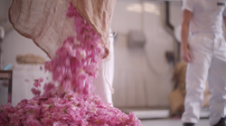 Capture d’écran 2024-06-23 à 23.37.27