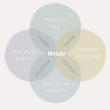 Copy of Instagram Coach (2).png
