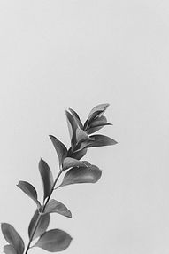 pexels-photo-6913755.jpeg