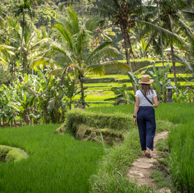 Ubud (Central Bali)