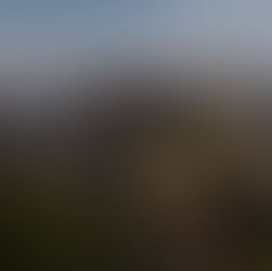 The Great Wall of China