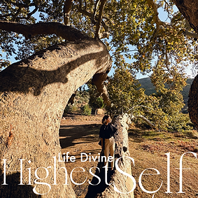 lifedivine.PNG