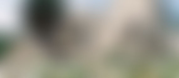 Healing the wound: Mars meets Chiron now