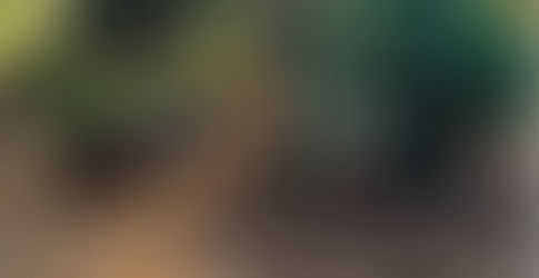 The Root Chakra Healing Program