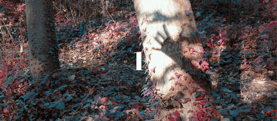 Reiki School Day 1: What is Reiki, what our class will teach you + Adjusting to the Attunement