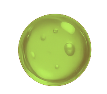 143C03D1-6E24-4734-A97A-DD4335C6394B.PNG