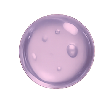 143C03D1-6E24-4734-A97A-DD4335C6394B.PNG