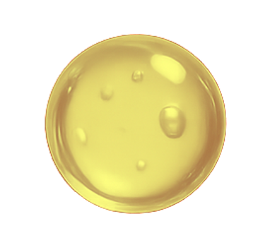 143C03D1-6E24-4734-A97A-DD4335C6394B.PNG