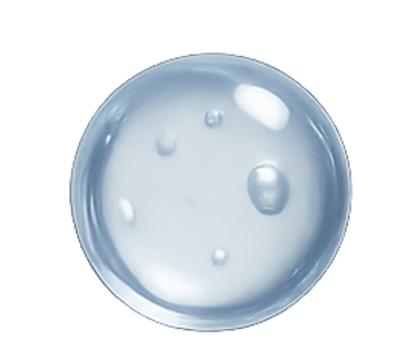 143C03D1-6E24-4734-A97A-DD4335C6394B.PNG