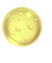 143C03D1-6E24-4734-A97A-DD4335C6394B_edited.png